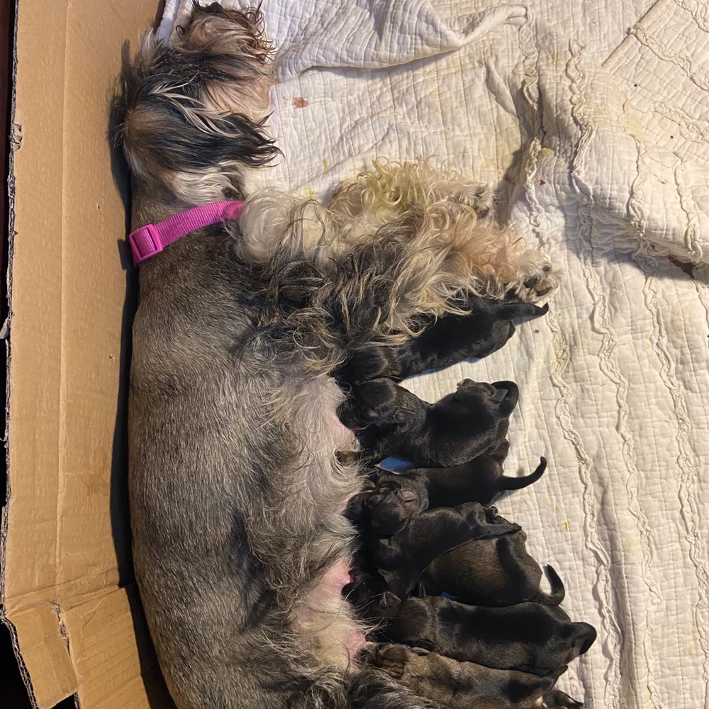 Meet your Posher, Mileya